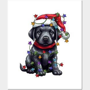 Christmas Puppy Posters and Art